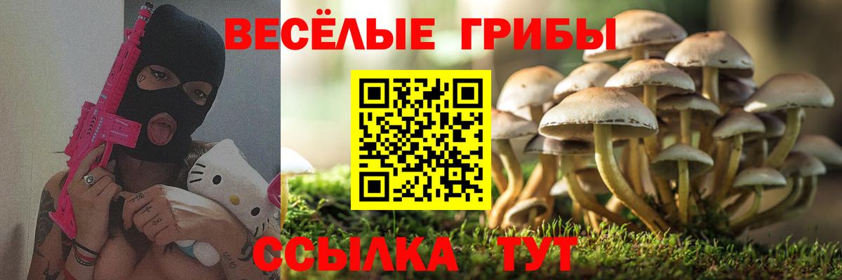 Галлюциногенные грибы Psilocybe  Вход с VPN  купить   Снежинск 
